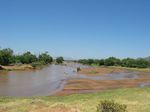 14206 Elephants crossing.jpg